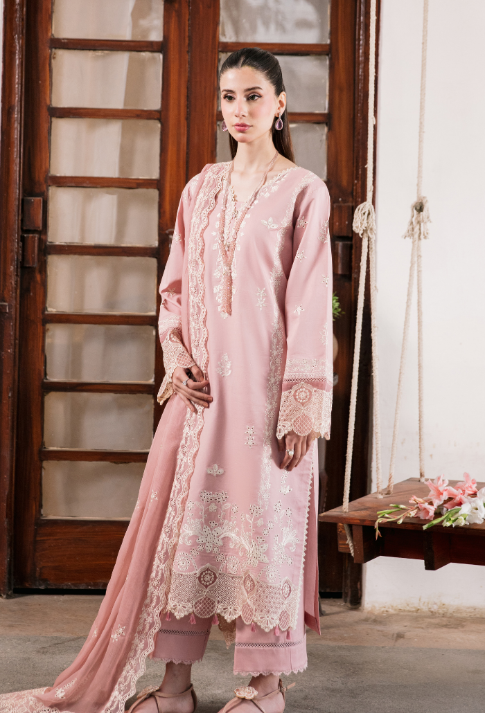 Meraki'2 - D10 Organza Pakistani Summer Dresses - Humdum - 3
