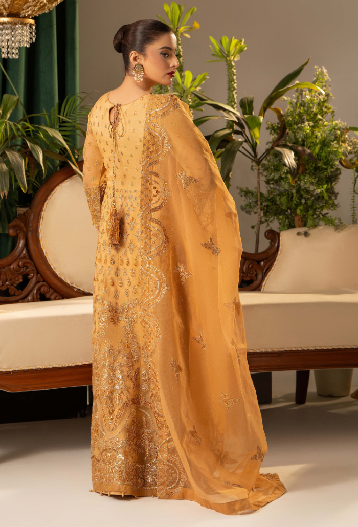 HOC - D05 Raw Silk Pakistani Formal Dresses - Humdum - 2