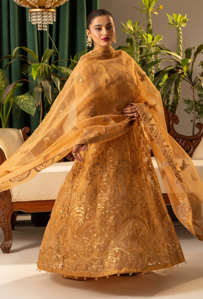 HOC - D05 Raw Silk Pakistani Formal Dresses - Humdum - 3