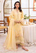 NAYAB - D02 Chiffon Pakistani Summer Dresses - Humdum - 1