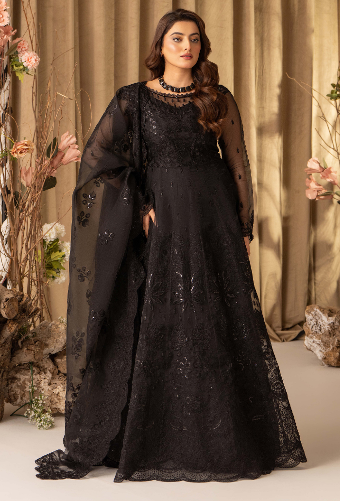 HOC - D15 Raw Silk Pakistani Formal Dresses - Humdum - 1
