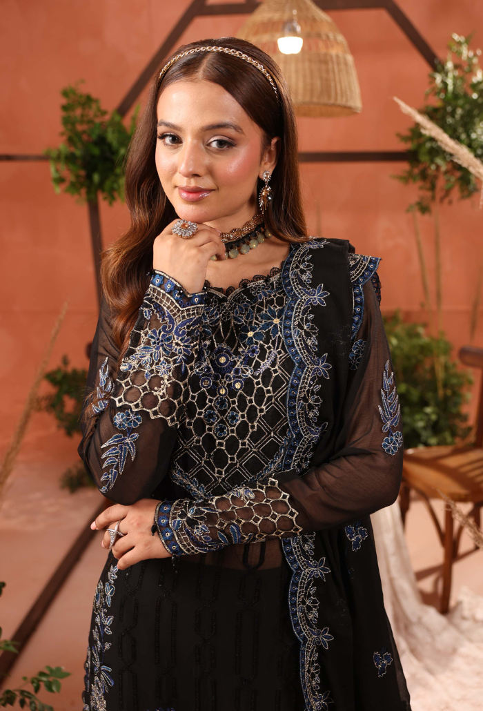 Heer-D10 Organza Pakistani Formal Dresses - Humdum - 4