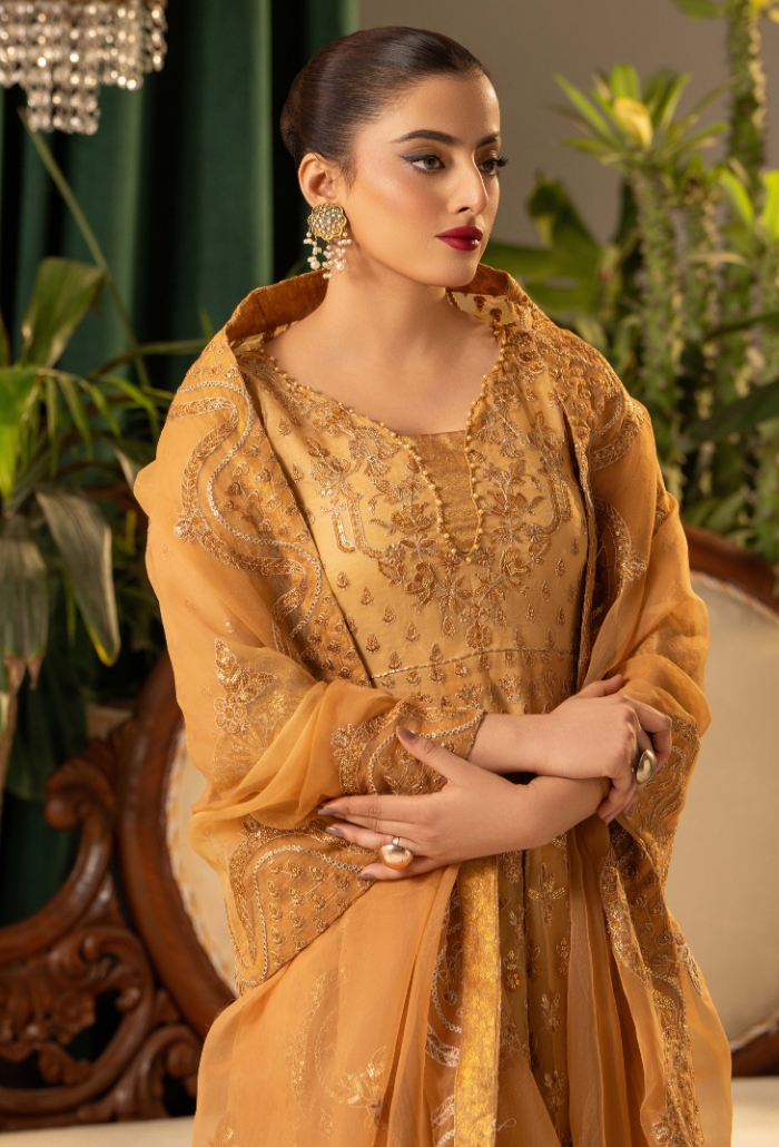 HOC - D05 Raw Silk Pakistani Formal Dresses - Humdum - 4