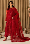 HOC - D13 Raw Silk Pakistani Formal Dresses - Humdum - 1