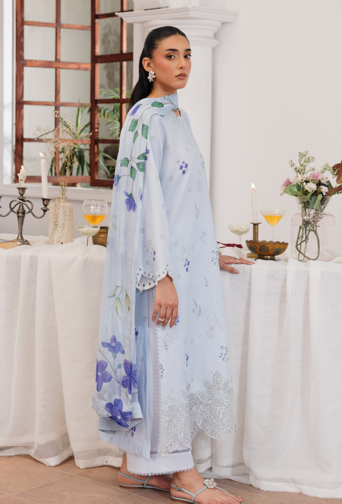 Summer Breeze'3 - D10 Organza Pakistani Summer Dresses - Humdum - 3