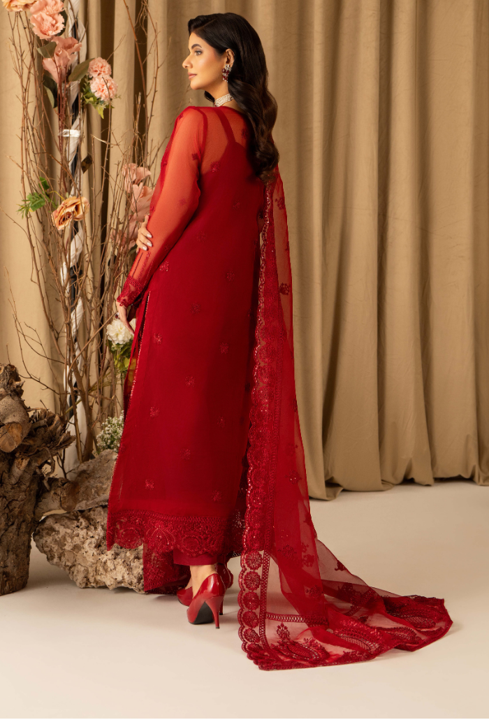 HOC - D13 Raw Silk Pakistani Formal Dresses - Humdum - 2