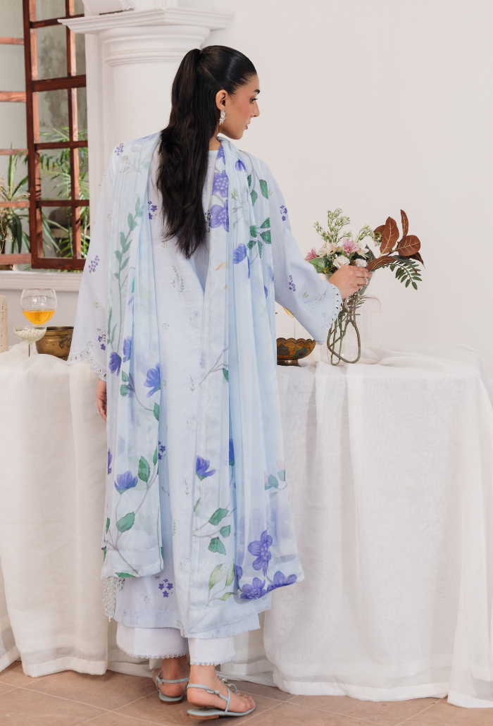 Summer Breeze'3 - D10 Organza Pakistani Summer Dresses - Humdum - 2