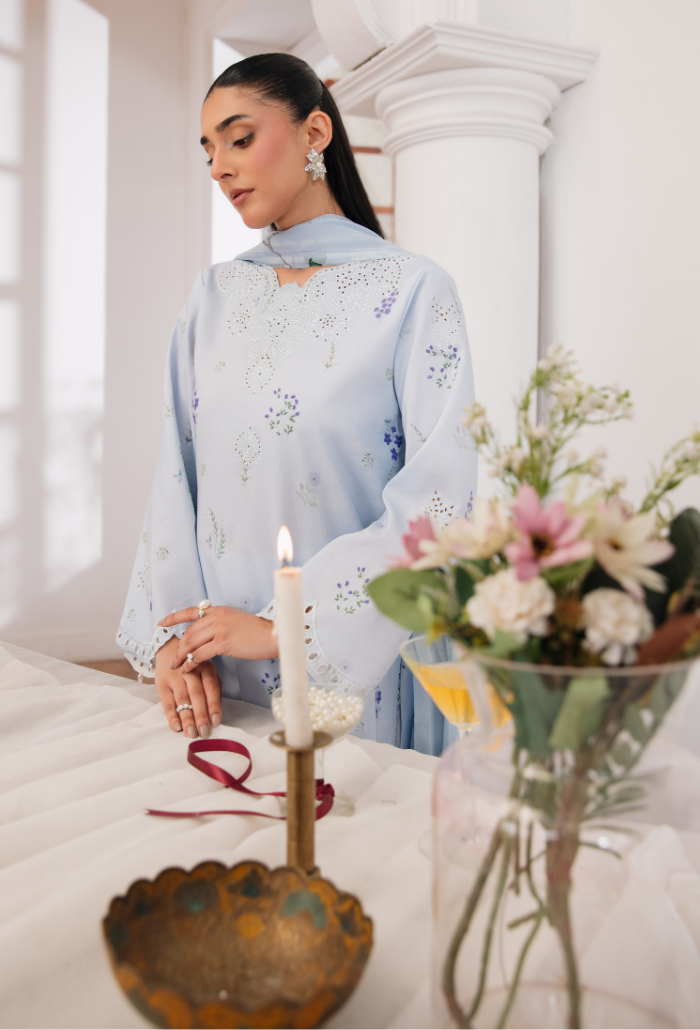 Summer Breeze'3 - D10 Organza Pakistani Summer Dresses - Humdum - 5