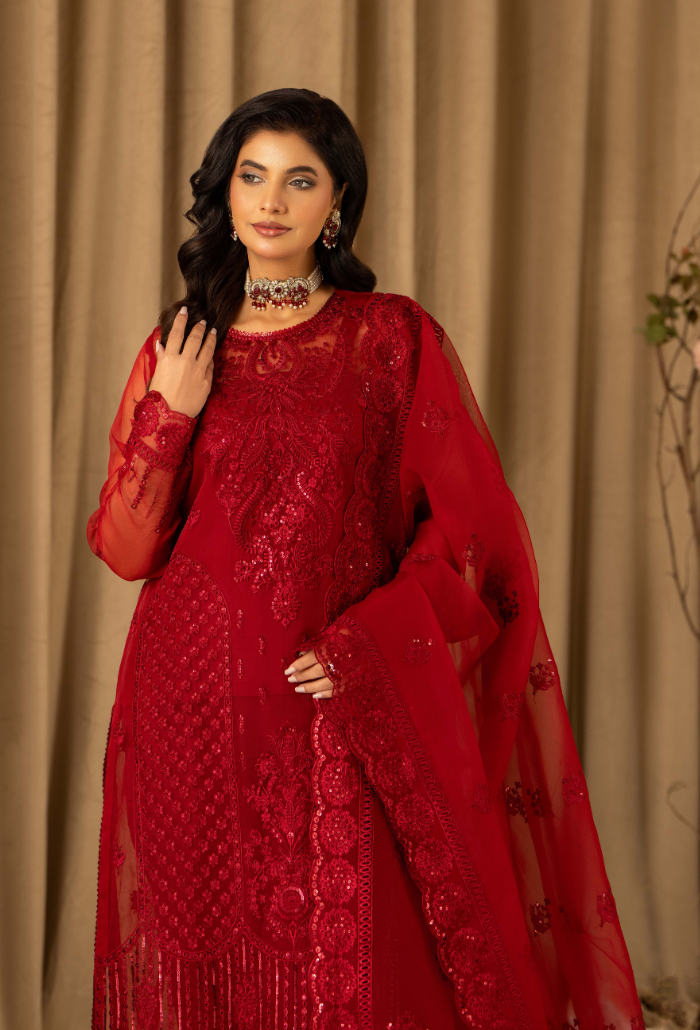 HOC - D13 Raw Silk Pakistani Formal Dresses - Humdum - 3