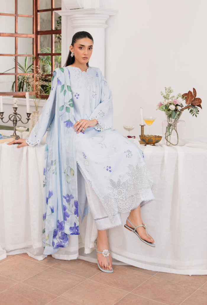 Summer Breeze'3 - D10 Organza Pakistani Summer Dresses - Humdum - 4