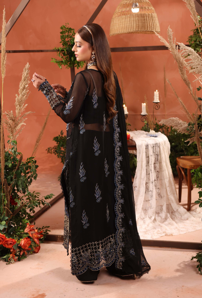Heer-D10 Organza Pakistani Formal Dresses - Humdum - 3