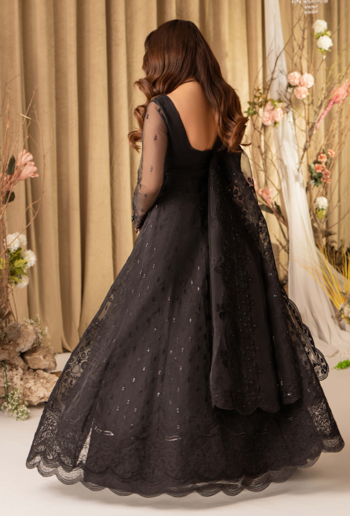 HOC - D15 Raw Silk Pakistani Formal Dresses - Humdum - 2