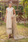 Selin - D08 Chiffon Pakistani Summer Dresses - Humdum - 1