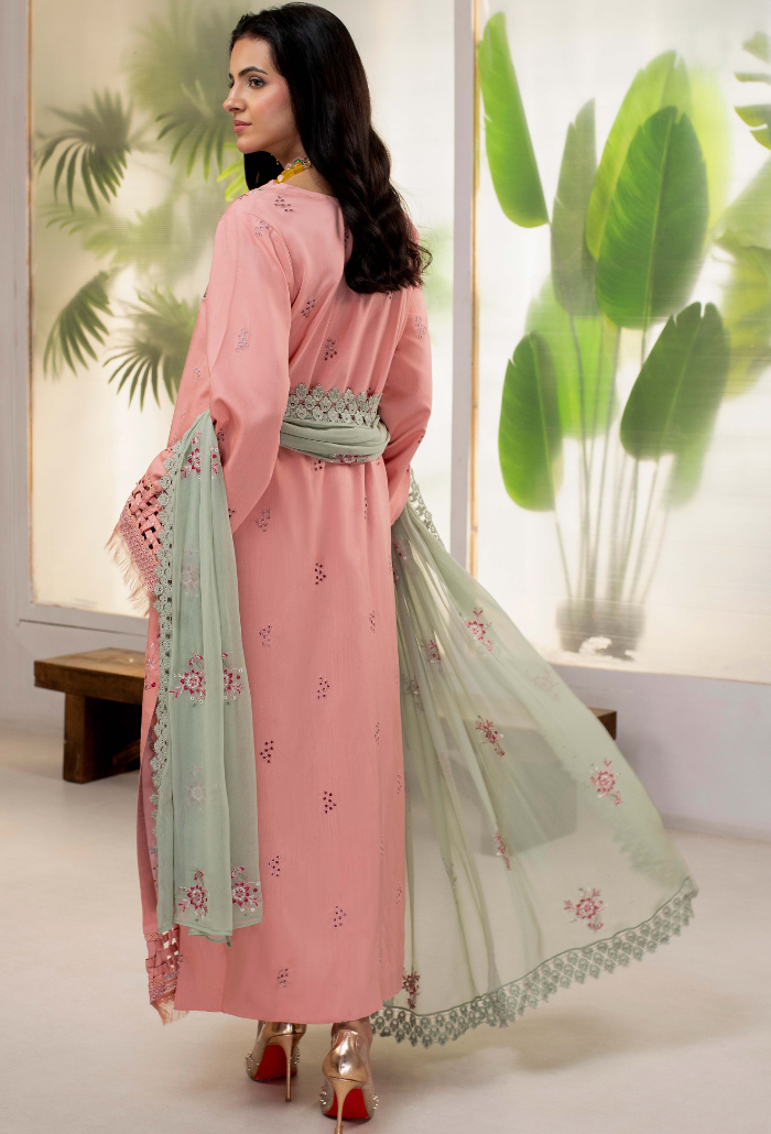 ELLENA - D06 Chiffon Pakistani Winter Dresses - Humdum - 3