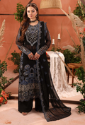 Heer-D10 Organza Pakistani Formal Dresses - Humdum - 1