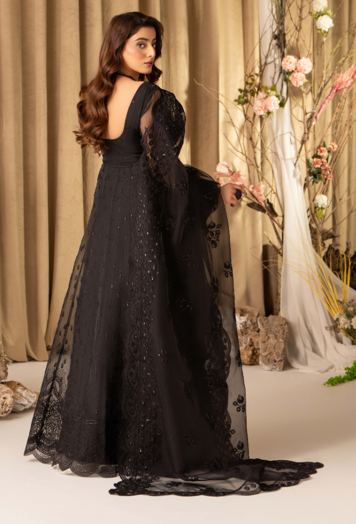 HOC - D15 Raw Silk Pakistani Formal Dresses - Humdum - 3