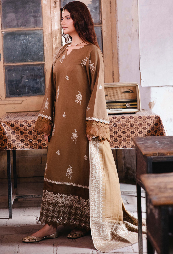 ONORA CHAPTER 2 - D08 Organza Pakistani Winter Dresses - Humdum - 3