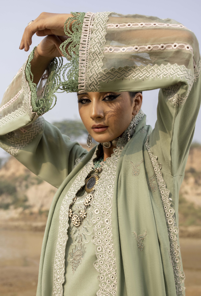 Sierra-D02 Premium Fabric Pakistani Winter Dresses - Humdum - 4