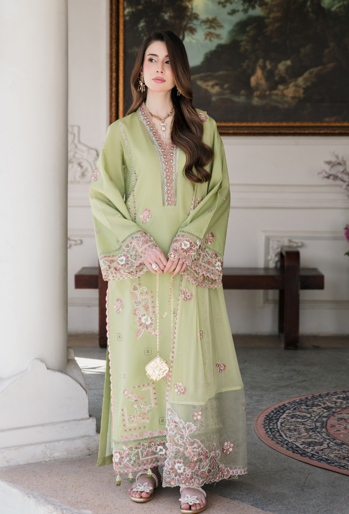 Meraki'2 - D05 Organza Pakistani Summer Dresses - Humdum - 1