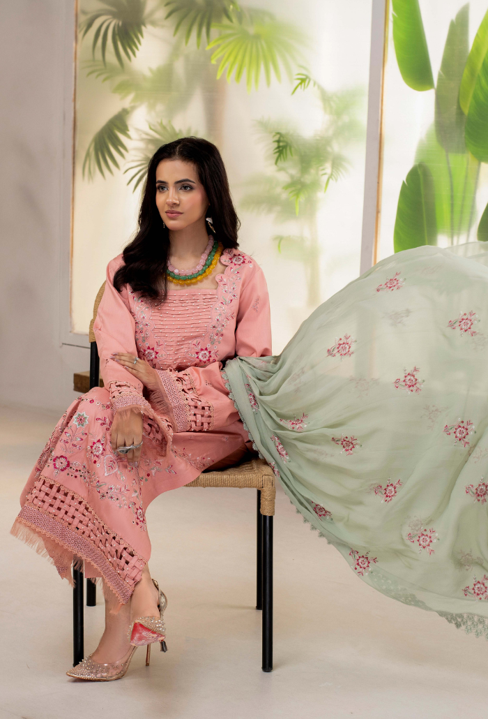 ELLENA - D06 Chiffon Pakistani Winter Dresses - Humdum - 4
