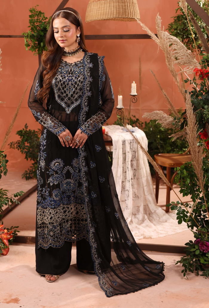 Heer-D10 Organza Pakistani Formal Dresses - Humdum - 2