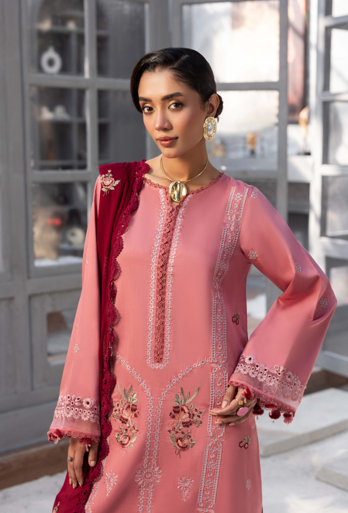 Fareeha - D04 Chiffon Pakistani Winter Dresses - Humdum - 4