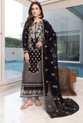Dilkash - D08 Organza Pakistani Summer Dresses - Humdum - 1