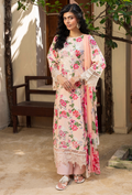 Zaiba - D01 Chiffon Pakistani Winter Dresses - Humdum - 1