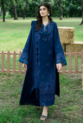 Zephyr - D09 Premium Fabric Pakistani Winter Dresses - Humdum - 1