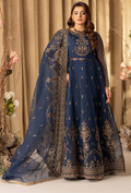 HOC - D08 Raw Silk Pakistani Formal Dresses - Humdum - 1