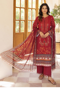 Zarwisha-D04 Chiffon Pakistani Summer Dresses - Humdum - 1