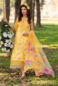 Eden Garden Chapter 3 - D03 Chiffon Pakistani Summer Dresses - Humdum - 1