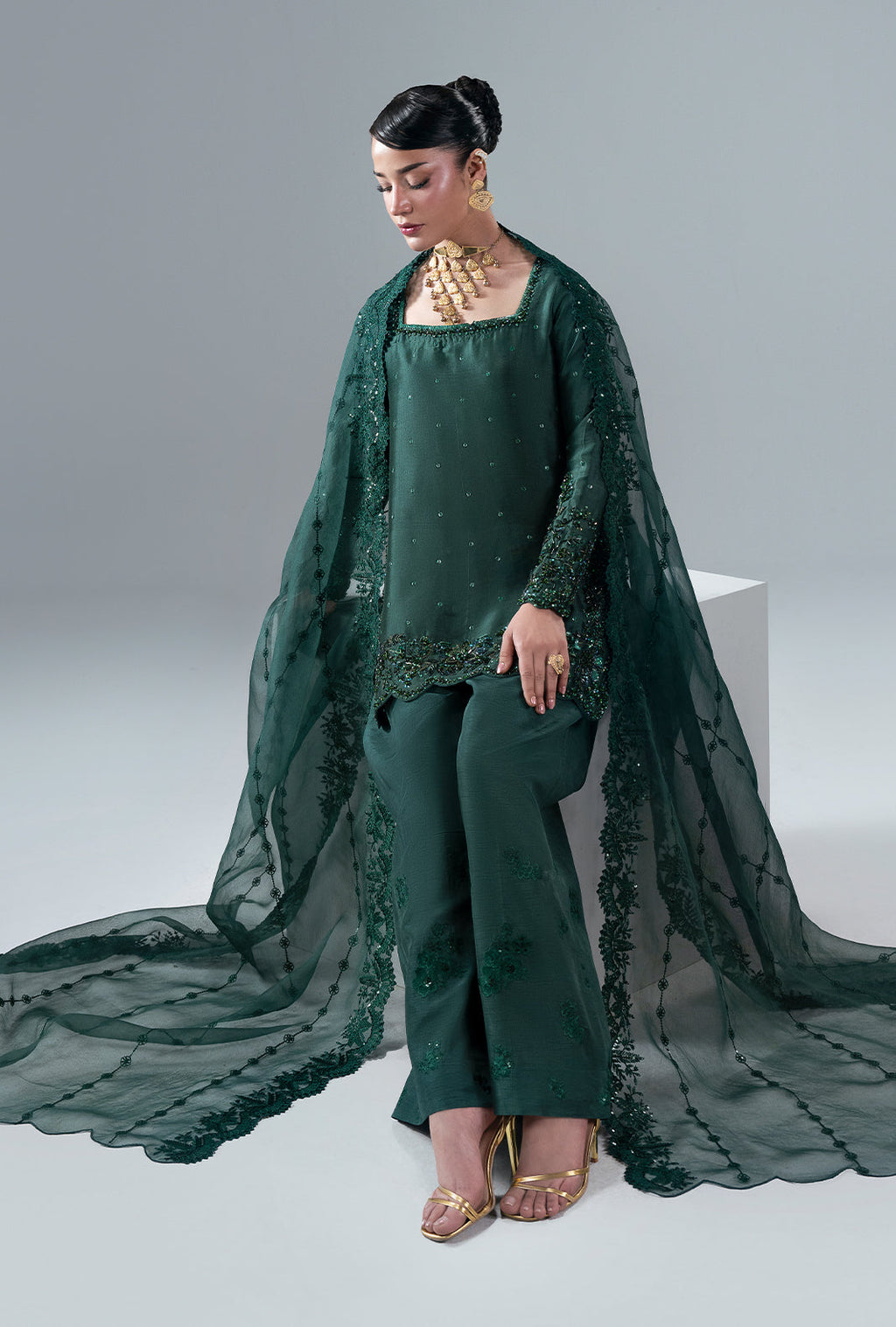 Esmera Organza Pakistani Formal Dresses - AJR Couture - 10