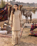 Amberveil Premium Fabric Pakistani Summer Dresses - Sahiba-clothing - 1