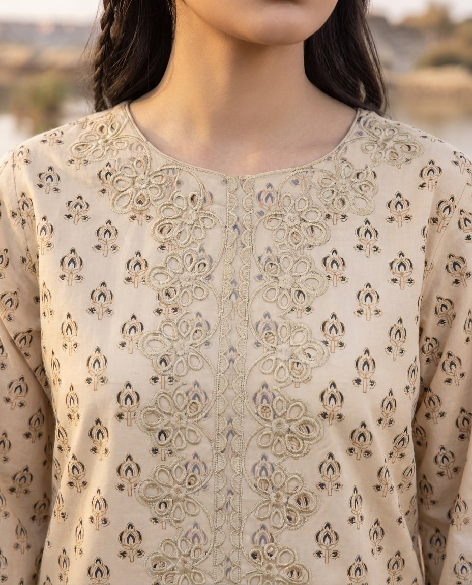 Amberveil Premium Fabric Pakistani Summer Dresses - Sahiba-clothing - 2