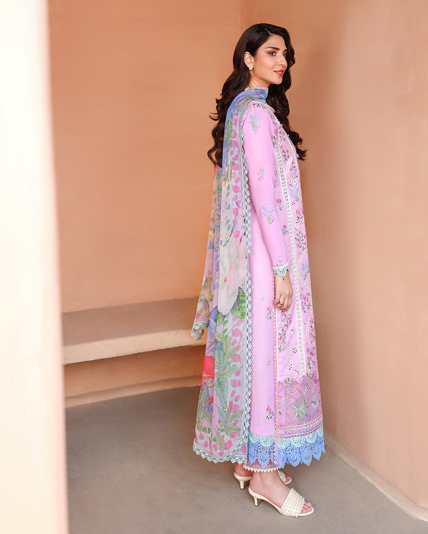 Ardor Organza Women Clothing - Roheenaz - 2