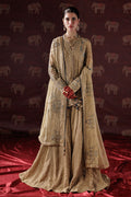 D-05 Pakistani Designer Dress