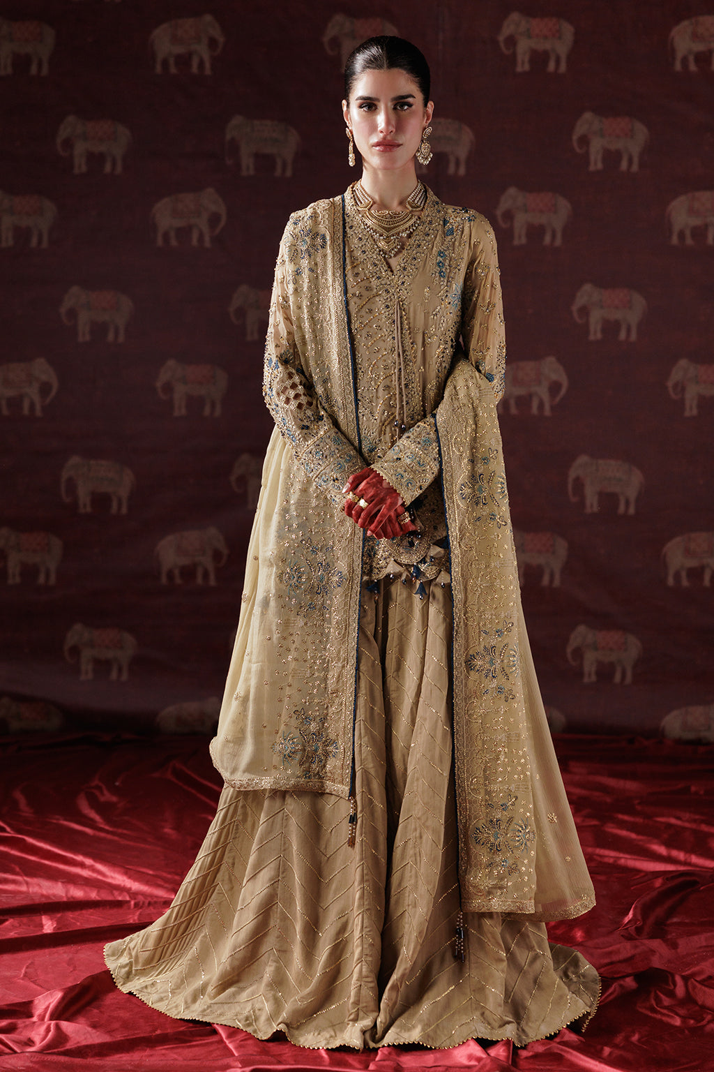 D-05 Pakistani Designer Dress