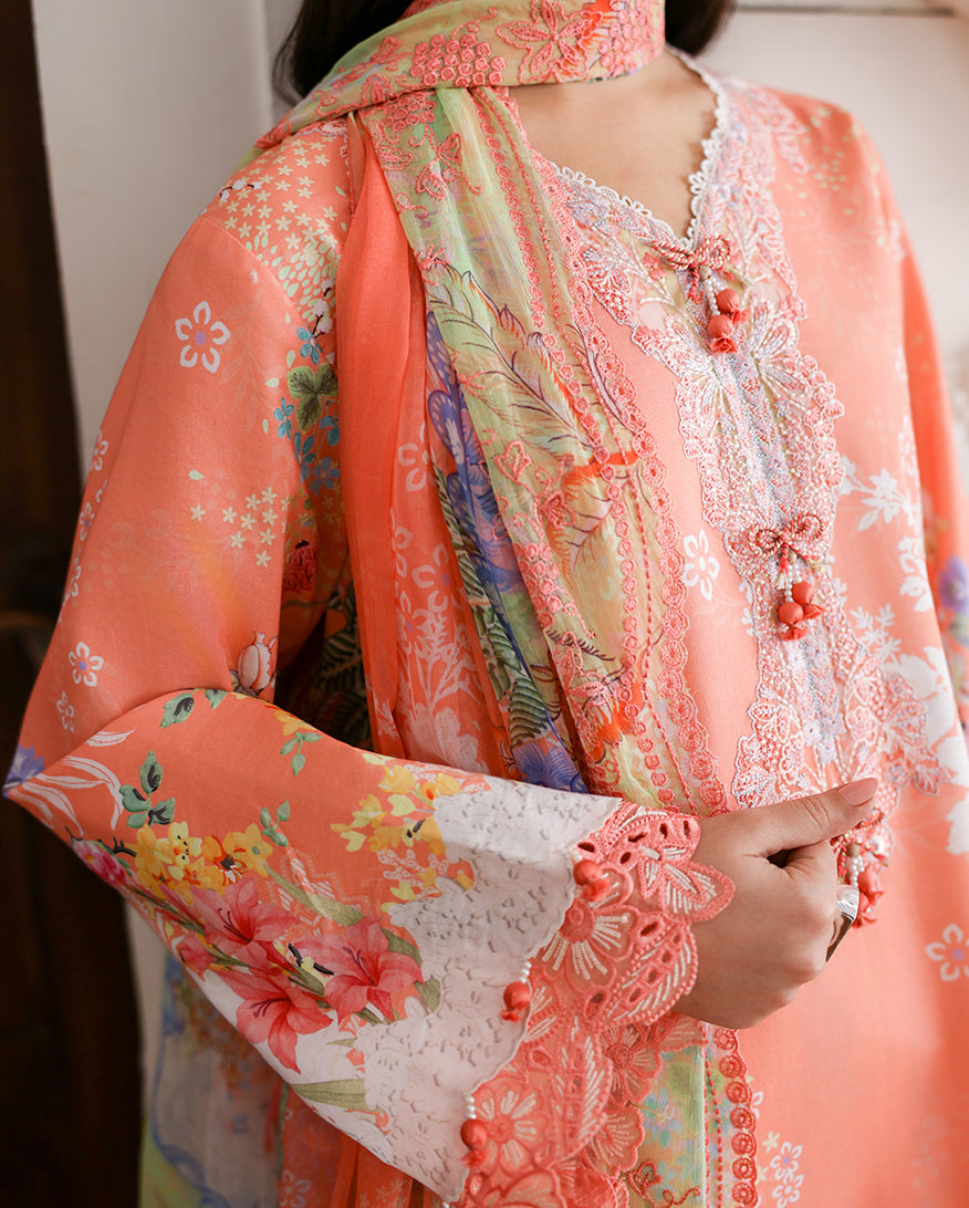 Blush tale Organza Women Clothing - Roheenaz - 3