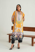 Naira Embroidered Pakistani Dress