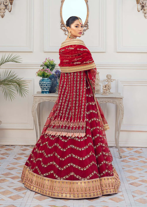 Carnelian Organza Pakistani Formal Dresses