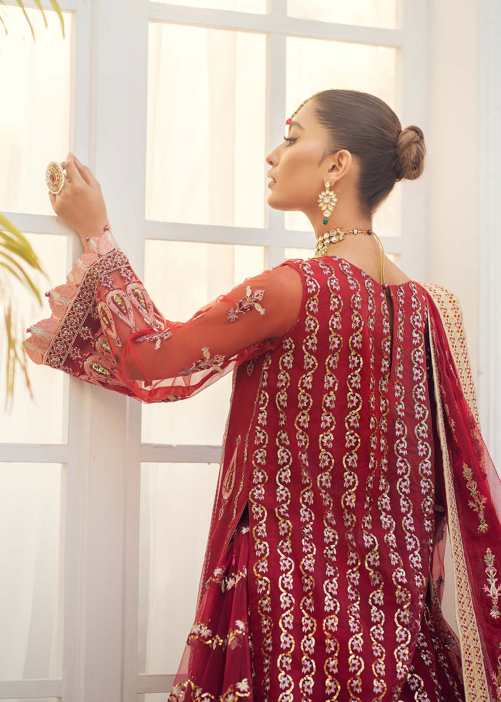 Carnelian Organza Pakistani Formal Dresses
