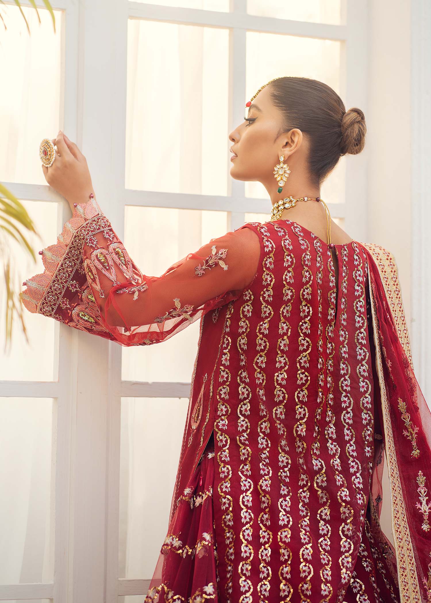 Carnelian Organza Pakistani Formal Dresses