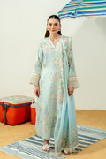 Avya Embroidered Pakistani Dress