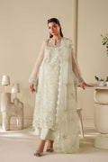 Elan Raw Silk Pakistani Casuals Dresses
