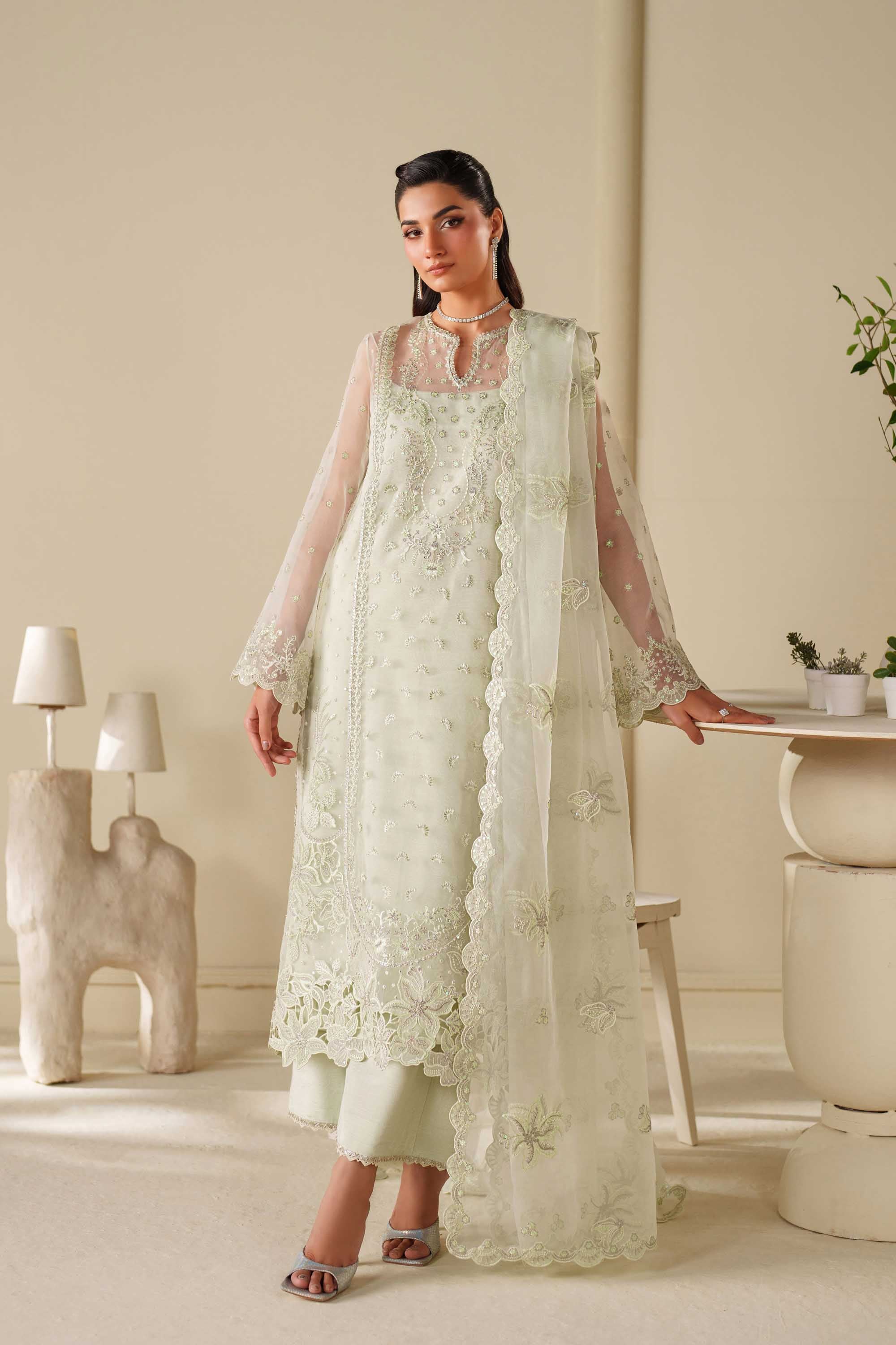 Elan Raw Silk Pakistani Casuals Dresses