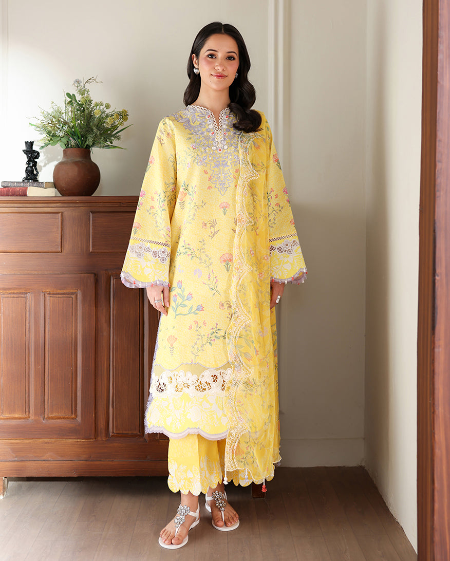 Honey Haze Organza Women Clothing - Roheenaz - 1