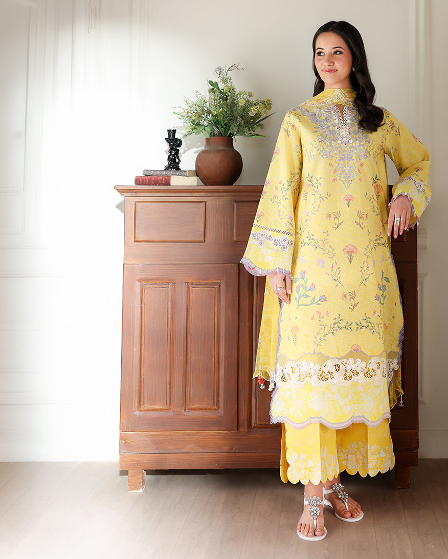Honey Haze Organza Women Clothing - Roheenaz - 6
