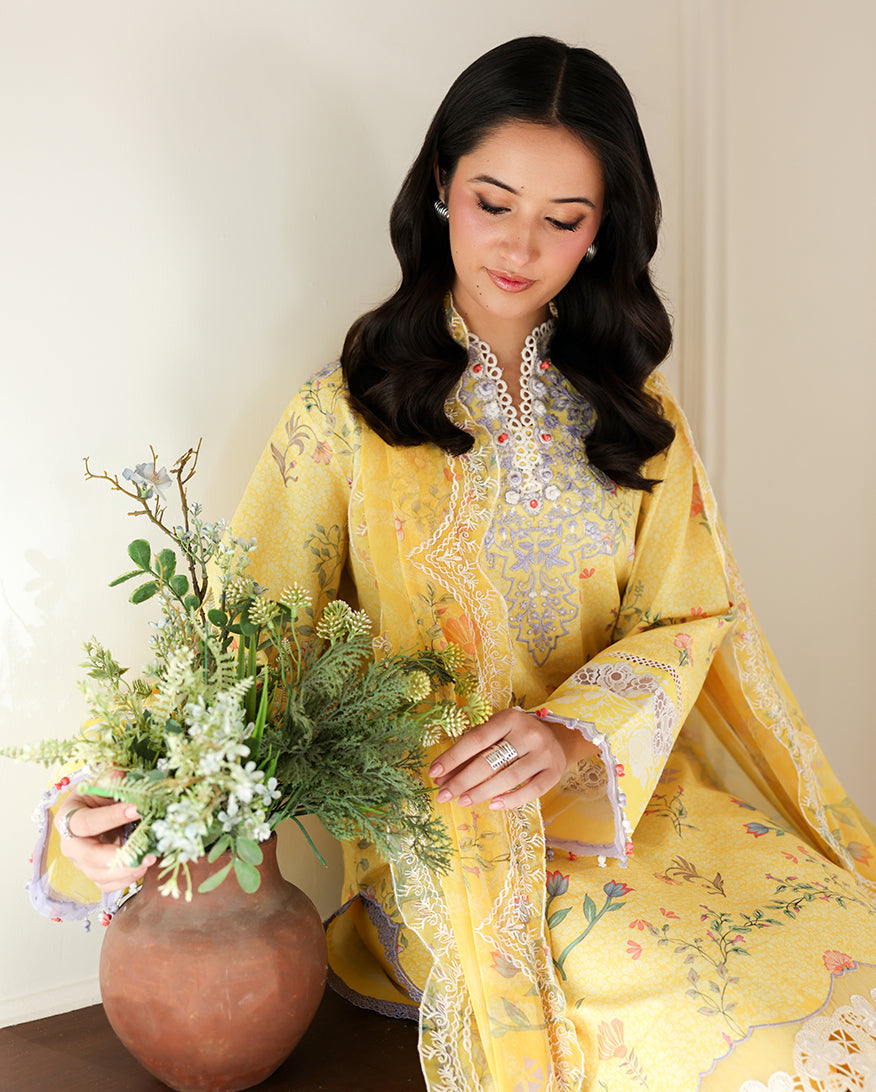 Honey Haze Organza Women Clothing - Roheenaz - 5