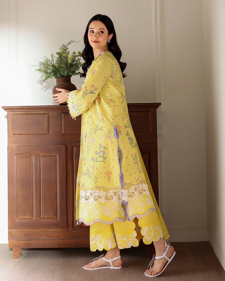 Honey Haze Organza Women Clothing - Roheenaz - 2
